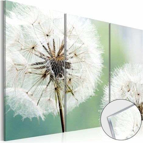 Tableau sur verre pissenlits moelleux - 120 x 80 cm (1/4)
