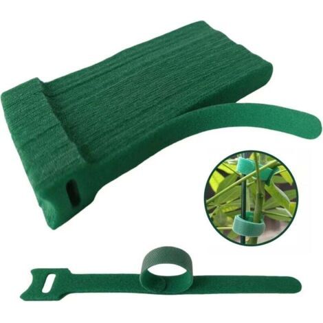 BUNTHAUS PA Confezione da 100 fascette in nylon verdi, antiscivolo, riutilizzabili, regolabili e lunghe 15 cm, ideali per il giardinaggio e per sostenere le piante rampicanti. (1/4)