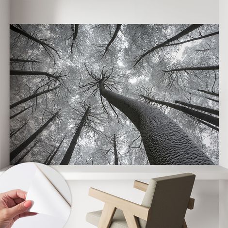 Tapete Selbstklebend - abwaschbar - trendige Wanddeko - elegant Fototapete Winterlandschaft 104x70 cm (1/5)