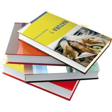 PLASTICA ADESIVA 1962 HOME DECO - TRASPARENTE OPACO H.CM 45 L.MT 15 - 1 pezzo