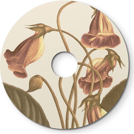 Paralume mini piatto Ellepì a disegni floreali 'Blossom Haven', diametro 24  - Made in Italy
