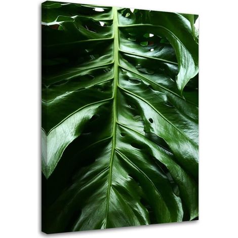 Tableau sur toile Feuille de Monstera Nature Tropicale 70x100 (1/5)