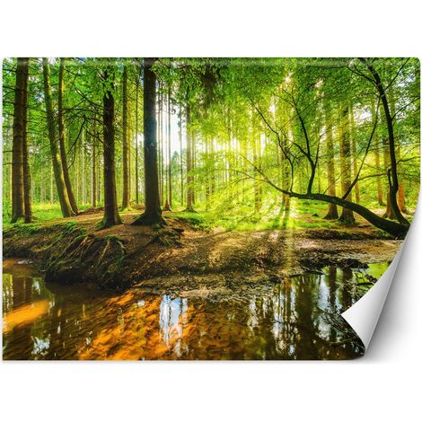 Fototapete, Wald Bach Bach Sonnenstrahlen Natur – 150x105