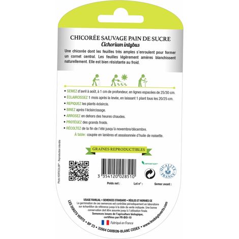 Chicorée sauvage pain de sucre bio Les Doigts Verts