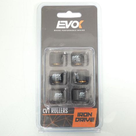 Variomatik-Rolle EVOK für Roller Malaguti 50 Crosser LC Neu (1/4)