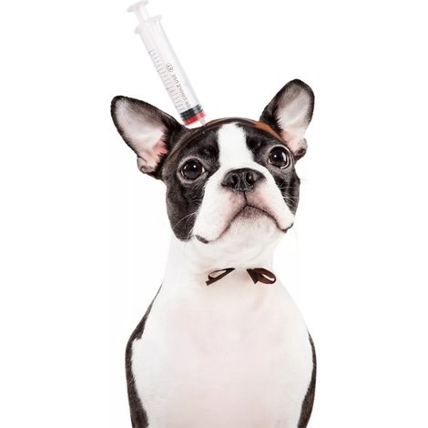 2 serre-tête seringue pour animaux, accessoires d'Halloween ensanglantés, pour chiens et chats, taille S et M (1/5)