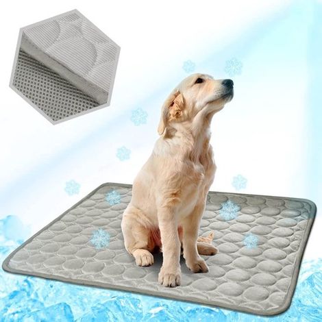 Tapis rafraîchissant pour animaux - Couverture rafraîchissante pour chien - Confort optimal pour votre animal - 62 x 50 cm - Gris (1/5)