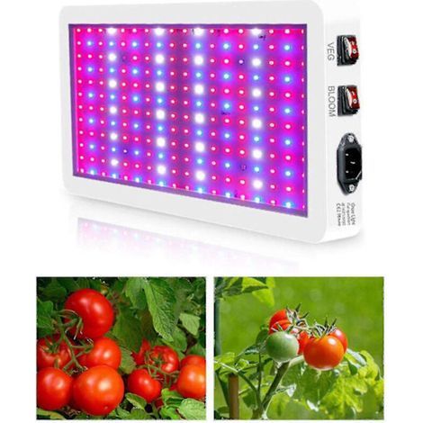 Lampe de culture LED 1000 W à spectre complet – Double canal VEG & BLOOM – Installation facile – Pour hydroponie et serres – Andiamo