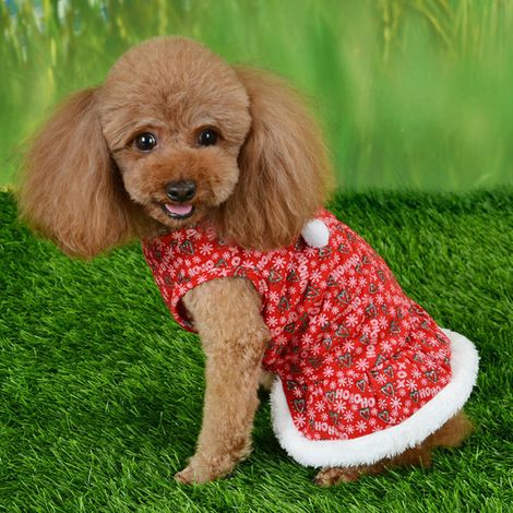 Ensemble d'hiver pour chiots : jupe rouge mignonne, veste et vêtements pour petits chiens, idéal pour Noël. (1/5)