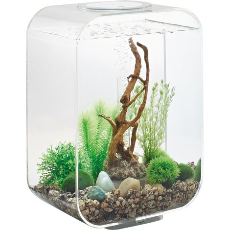 Acuario LED transparente de 15 litros - LIFE 15 LED TRANSPARENT - Oase - (1/2)