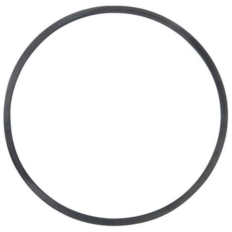 Guarniz camera gallegg BRIGGS ET STRATTON 798522