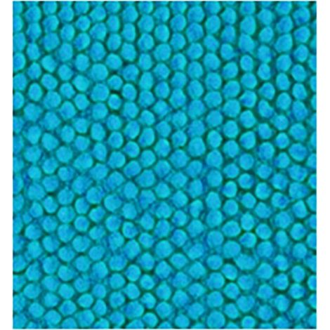 TAPPETO BAGNO POLIESTERE 100% TURCHESE - 40X60 CM