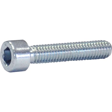 BULLONE TESTA CILINDRICA T.C.E.I. 10 x 40 tutto filettato - 1 centinaio