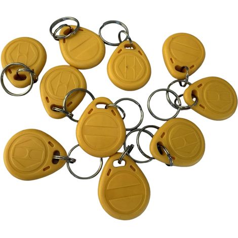 125khz rfid en écriture réinscriptible T5577 Porte-clés clé d'hôtel (pack de 10)