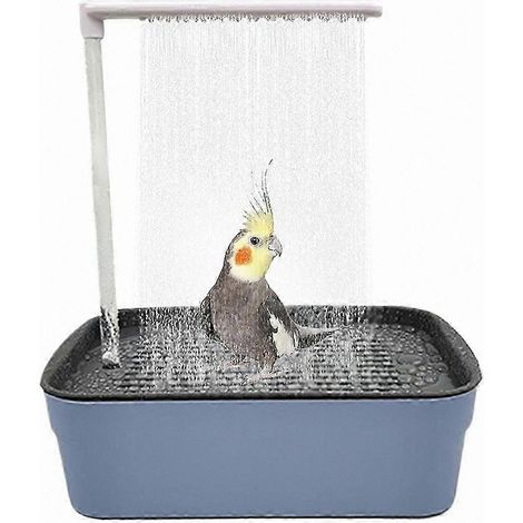 Automatisches Vogelbad mit Wasserzirkulationssystem, Papageiendusche und wasserführendem Toilettenbecken (1/5)