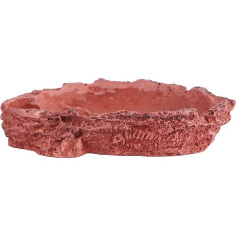 1 pièce bol d'alimentation pour animaux de compagnie, bol d'alimentation en résine, bol d'alimentation pour reptiles, bol d'alimentation pour lézard (1/5)