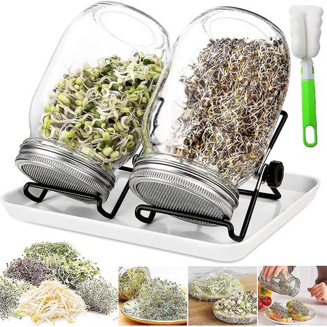 950-ml-Glaskeimgefäß mit 2 Gittern, 2 Stützen und 1 Keimschale. Ideal für Brokkoli, Wassersellerie und Alfalfa.