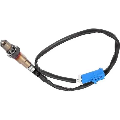 30650780 30757556 31380995 30751865 31480393 8670130 Sauerstoffsensor (1/5)
