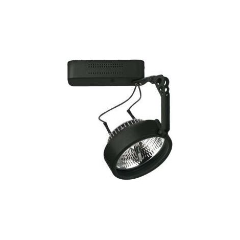 Proiettore esterno indeluz-lighting ar-111 50W 12V dimmerabile