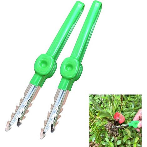 Pinzette – Gezahnte Gartenpinzette aus Edelstahl, rutschfester Griff, Gartenwerkzeug (2 Stück) (1/5)