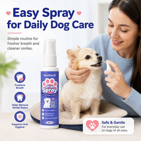 KineShineX Pet Oral Freshening Spray, suitable for both cats and dogs, relieves bad breath and dissolves plaque. (1/5)
