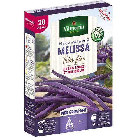 Graines de haricot violet sans fil Melissa – Période de semis d'avril à juillet – Récolte 10 à 12 semaines – 360 graines pour potager – Vilmorin (1/3)