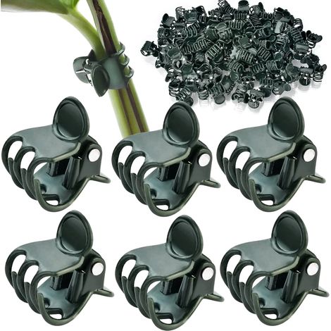 Clips de support pour orchidées et plantes grimpantes, pour maintenir les tiges droites. (1/5)