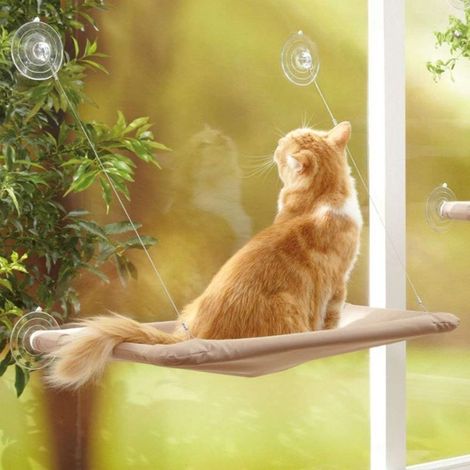 Hamac pour chat à fixer à la fenêtre, perchoir pour chat, lit suspendu pour animaux de compagnie avec ventouse, confortable, durable et solide (55 x 32 cm) (1/5)