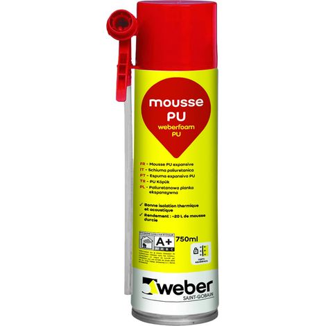 Bombe mousse expansive aérosol base PU 750 ml (1/4)