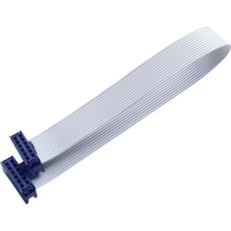 BKL Electronic 10120669 Flachbandkabel Rastermaß: 2.54 mm 12 x 0.08 mm² Grau 1 St.