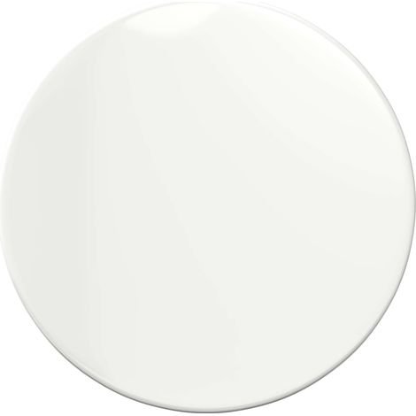 Maison Exclusive - Plateau de table Blanc brillant Ø 50 x 1,5 cm Bois d'ingénierie (1/5)