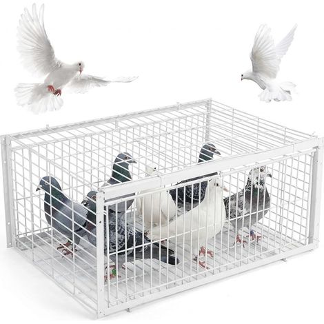 Piège à Oiseaux, piège à Pigeons Anti-Fuite, Cage Pigeons avec Deux entrées d'accès unidirectionnelles, Oiseau Portable pour toits, Jardins Ouverts, granges et fermes (1/5)