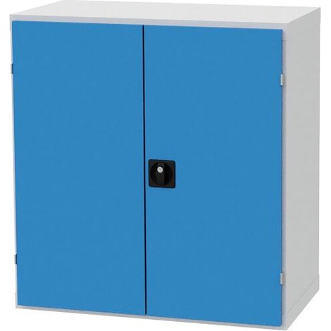 Flügeltürenschrank R 36-16, Leergehäuse mit Flügeltüren Maße in mm (BxTxH): 980 x 500 x 1019 (1/2)