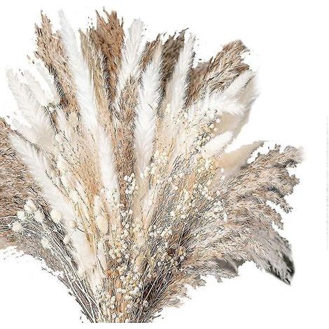 Bouquet de 100 fleurs séchées naturelles en herbe de la pampa, idéal pour une décoration florale de mariage. (1/5)
