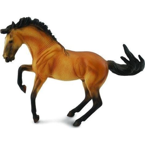 Lusitano-Hengstfuchs