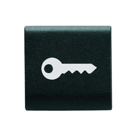 TOUCHE INTERCHANGEABLE 'CLÉ' NOIRE GEWISS GW12543