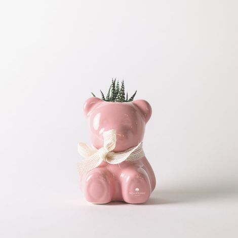 Plante grasse en pot céramique artisanale Ourson fabriqué en Italie - Rose