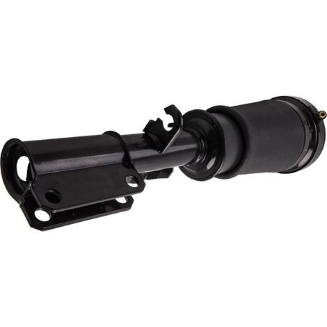 Anteriore Sospensioni Pneumatiche Aria Ammortizzatore for BMW X5 E53 37116757502