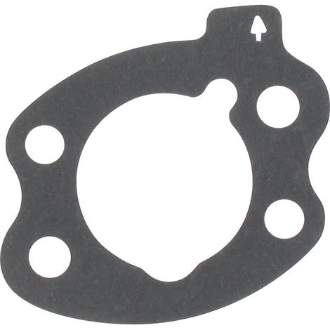 Joint de filtre à air BRIGGS ET STRATTON 844931