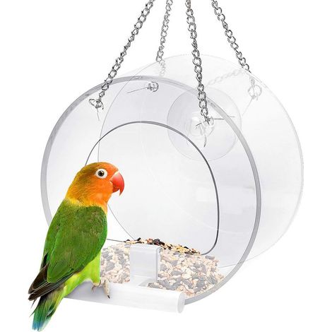 Distributeur de Nourriture pour Oiseaux en Verre Transparent avec Ventouses et Grand Plateau - Décoration de Fenêtre (1/5)