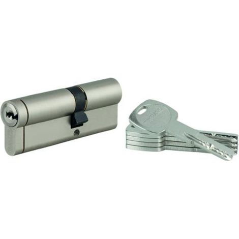 THIRARD - Lot de 10 cylindres Transit 1 double entrée 30x55mm, débrayable, nickelé, 5 clés - THIRARD (1/5)