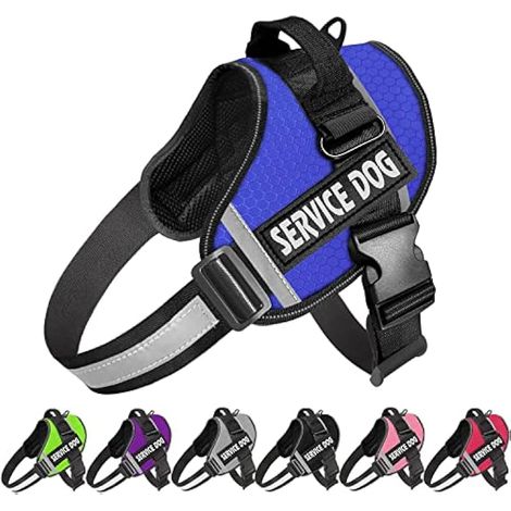 Harnais pour chien avec poignée réglable en nylon réfléchissant 3M pour chiens de petite taille et moyenne (1/5)