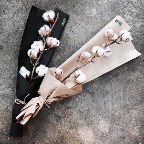 Lot de 3 branches de coton naturel 50 cm, tiges de fleurs séchées décoratives, chaque branche a 7 à 9 fleurs, durable (1/5)