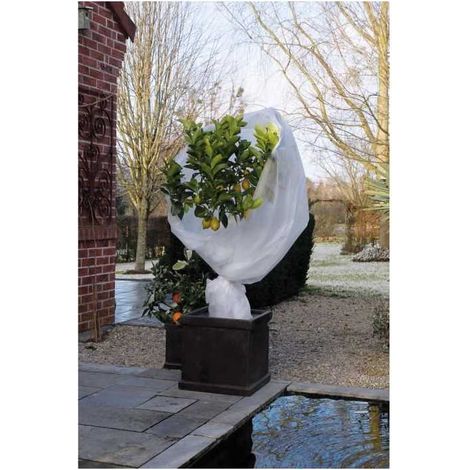 Telo protettivo Nature 6030118 Bianco polipropilene Plastica 2 x 10 m