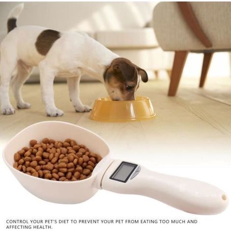 Balance de cuisine - Non spécifié - Électronique - Portable - Pour chien et chat - Pile CR2032 non incluse (1/3)