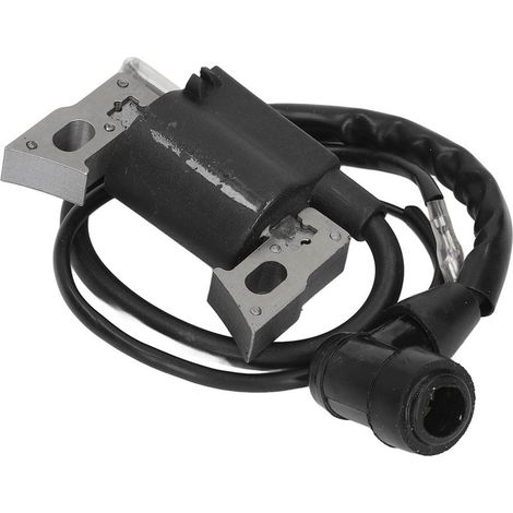 Bobine d'allumage moteur essence remplacement pour générateur 152F 79,5CC 2,5CV (1/5)