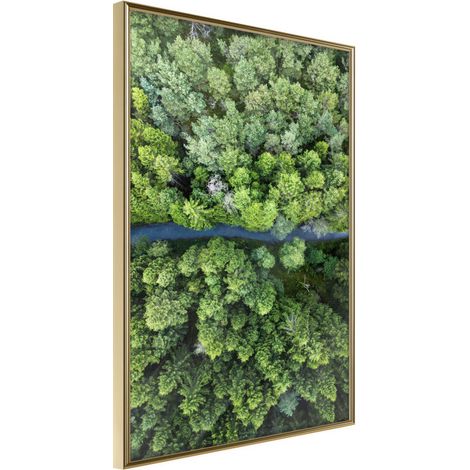 Affiche Murale Encadrée "Forest from a Bird's Eye View" 30 x 42 cm Or