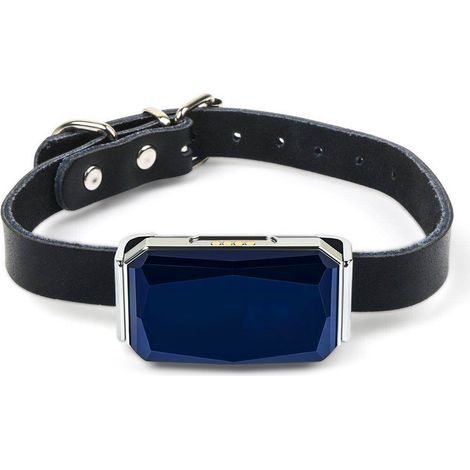 Localisateur étanche pour chiens et chats, traceur GPS anti-perte pour animaux de compagnie (1/4)
