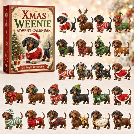 Teckel de Noël calendrier avent 2026 2D boîte surprise