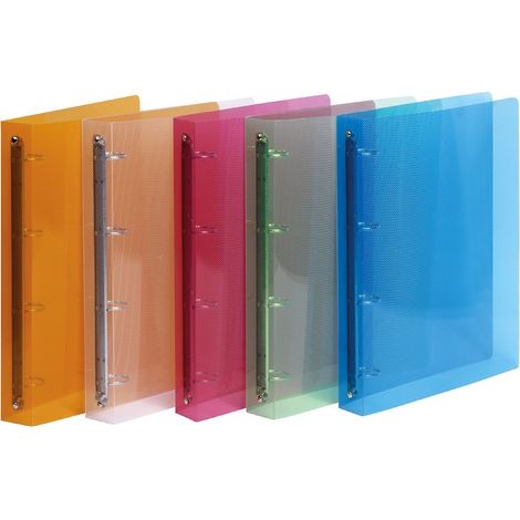 Favorit 400116631 raccoglitore ad anelli A4 Multicolore